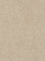 Load image into Gallery viewer, Dream Weaver STRIKING III
