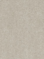 Load image into Gallery viewer, Dream Weaver STRIKING III
