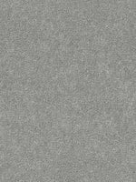 Load image into Gallery viewer, Dream Weaver STRIKING II
