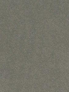 Dream Weaver STRIKING I
