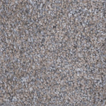 Load image into Gallery viewer, Dream Weaver CASUAL COMFORT II
