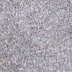Load image into Gallery viewer, Dream Weaver CASUAL COMFORT II
