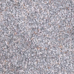 Load image into Gallery viewer, Dream Weaver CASUAL COMFORT I
