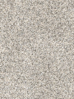 Load image into Gallery viewer, Dream Weaver CONFETTI III
