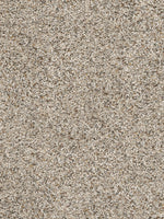 Load image into Gallery viewer, Dream Weaver CONFETTI III
