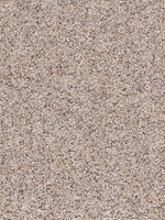 Load image into Gallery viewer, Dream Weaver CONFETTI III
