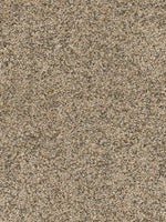Load image into Gallery viewer, Dream Weaver CONFETTI III
