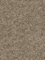 Load image into Gallery viewer, Dream Weaver CONFETTI III
