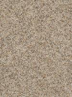 Load image into Gallery viewer, Dream Weaver CONFETTI II
