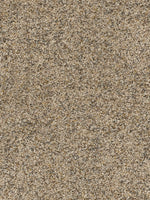 Load image into Gallery viewer, Dream Weaver CONFETTI II
