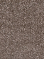 Load image into Gallery viewer, Dream Weaver EASY LIVING II
