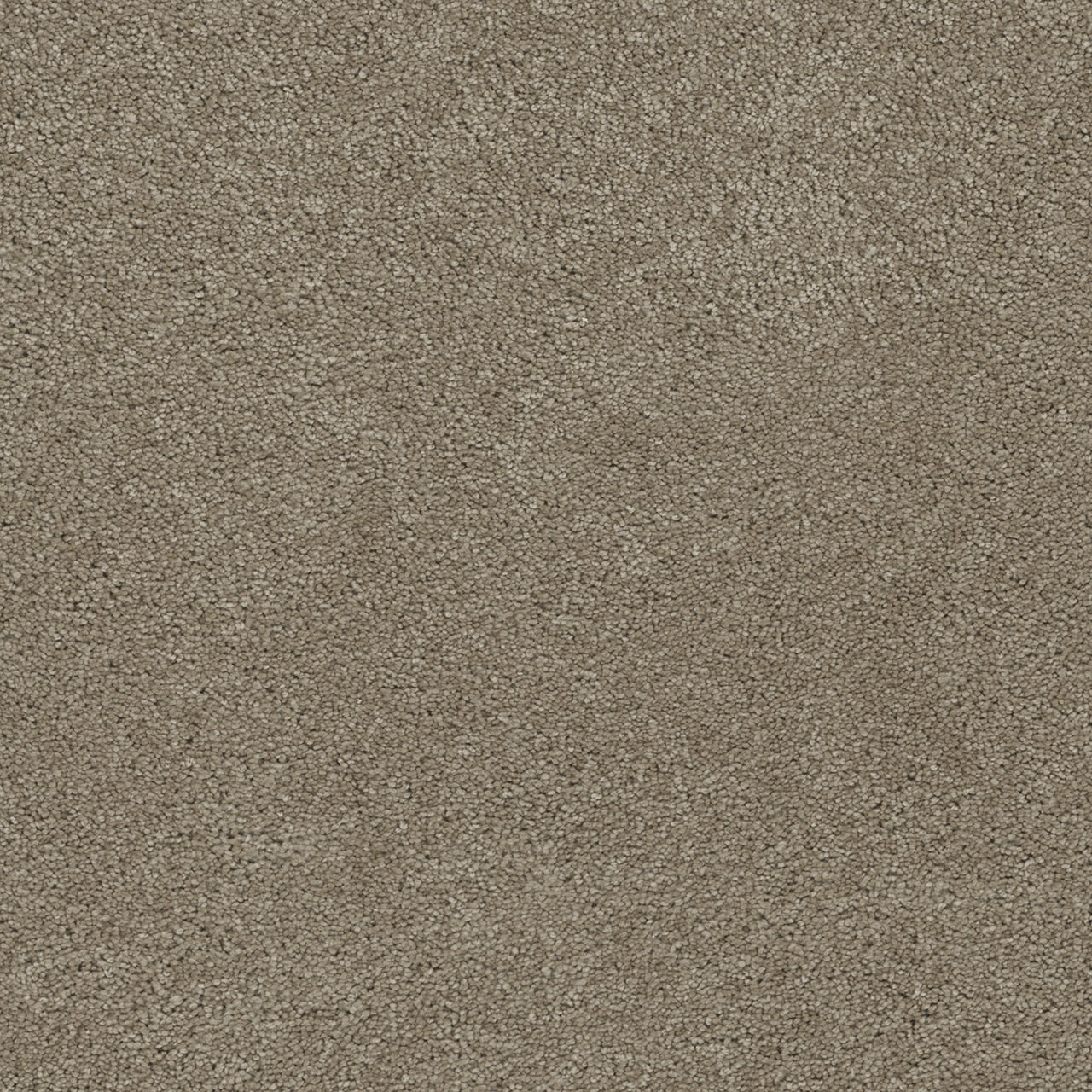 Dream Weaver Rock Solid I