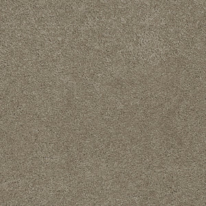 Dream Weaver Rock Solid I