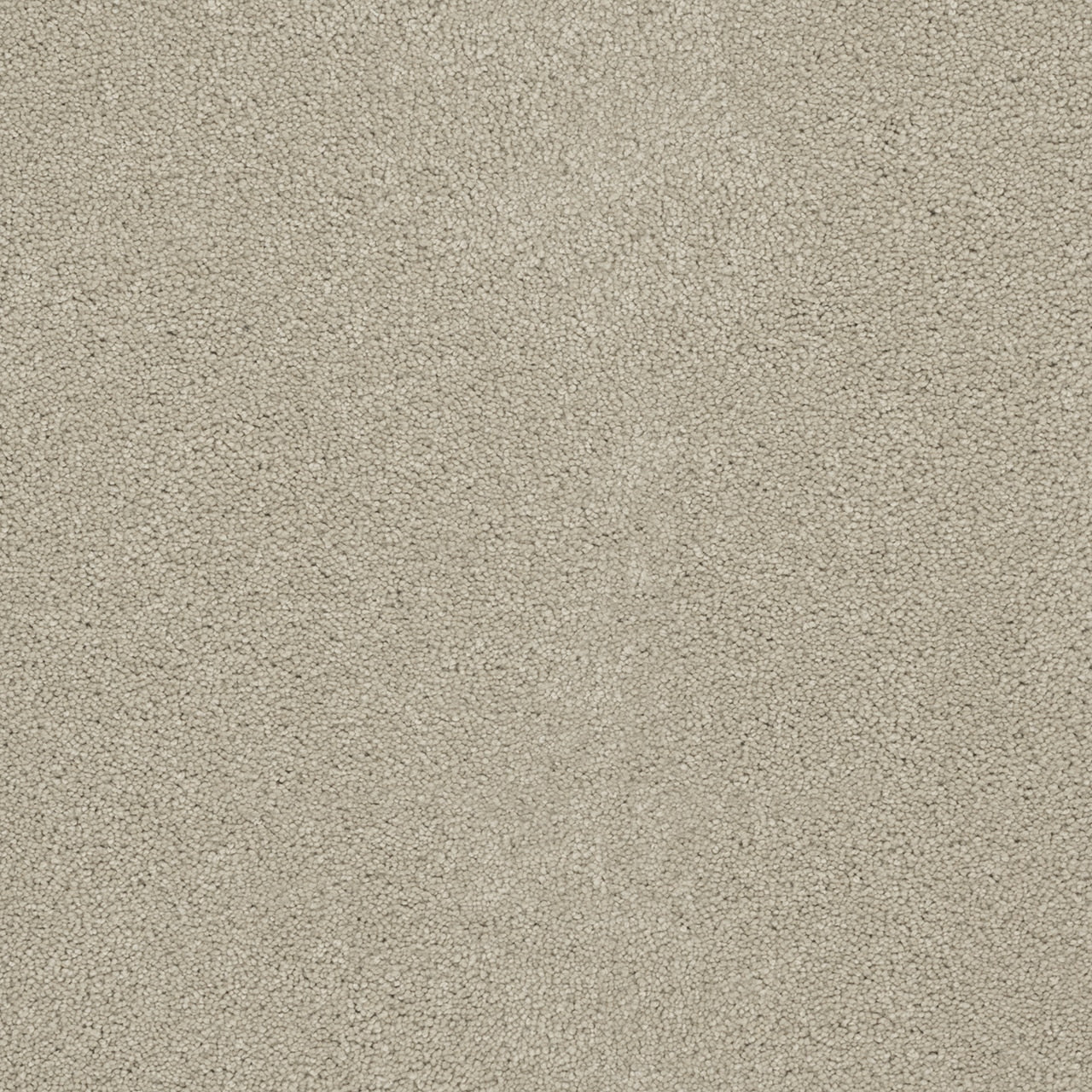 Dream Weaver Rock Solid I
