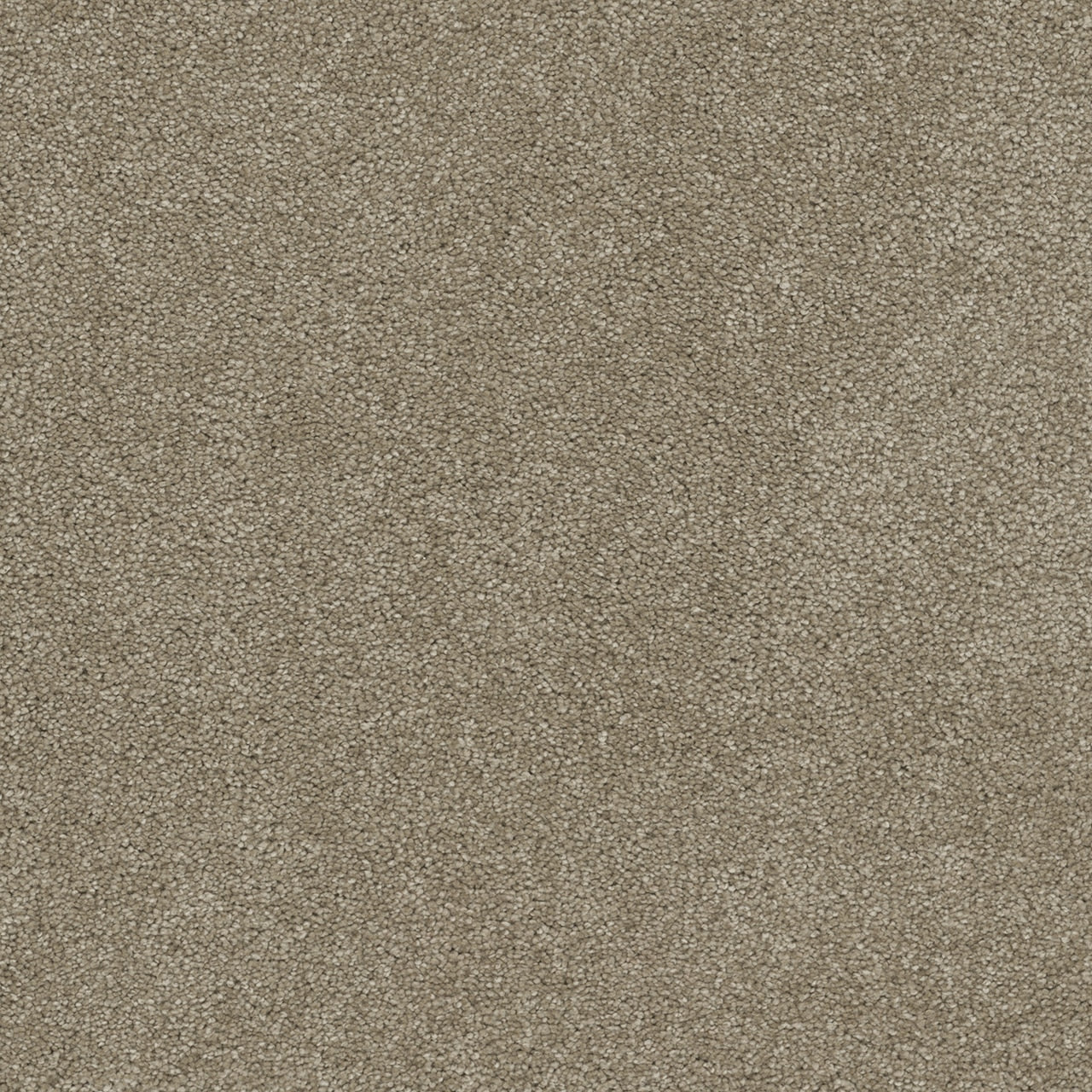 Dream Weaver Rock Solid I