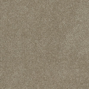 Dream Weaver Rock Solid I