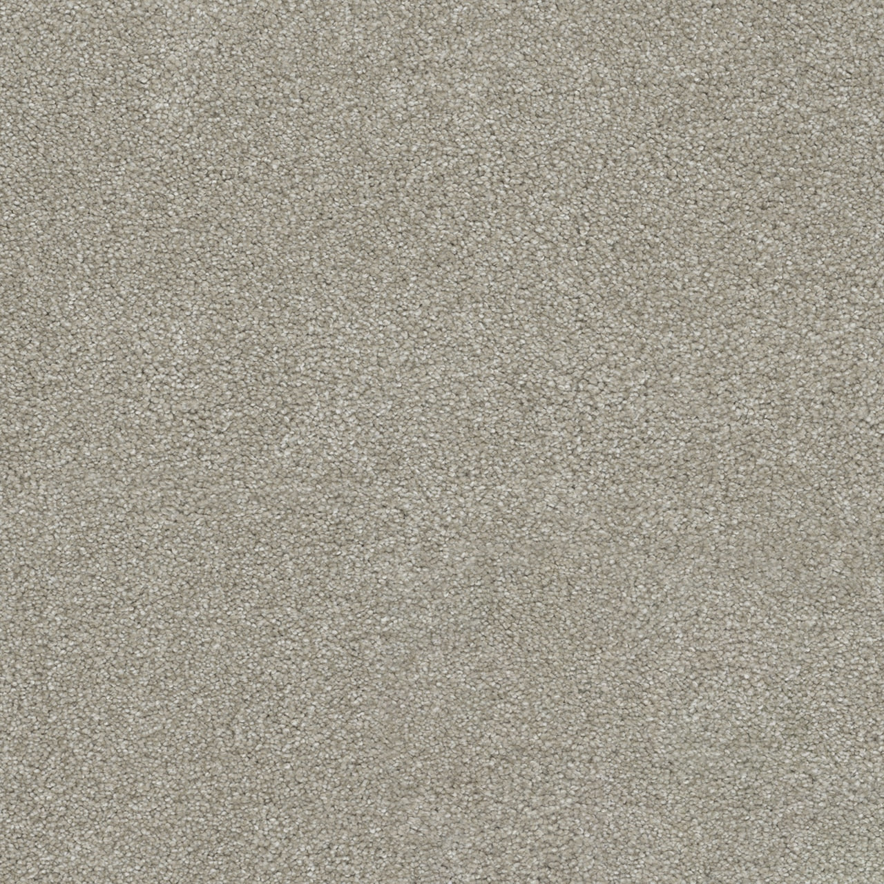 Dream Weaver Rock Solid I