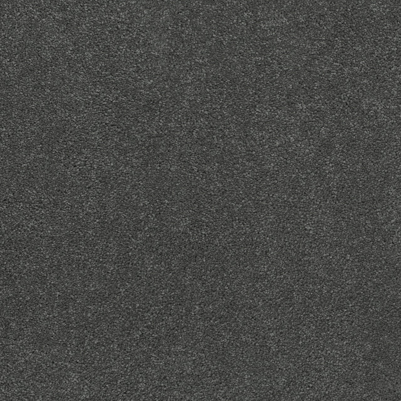 Dream Weaver Rock Solid I