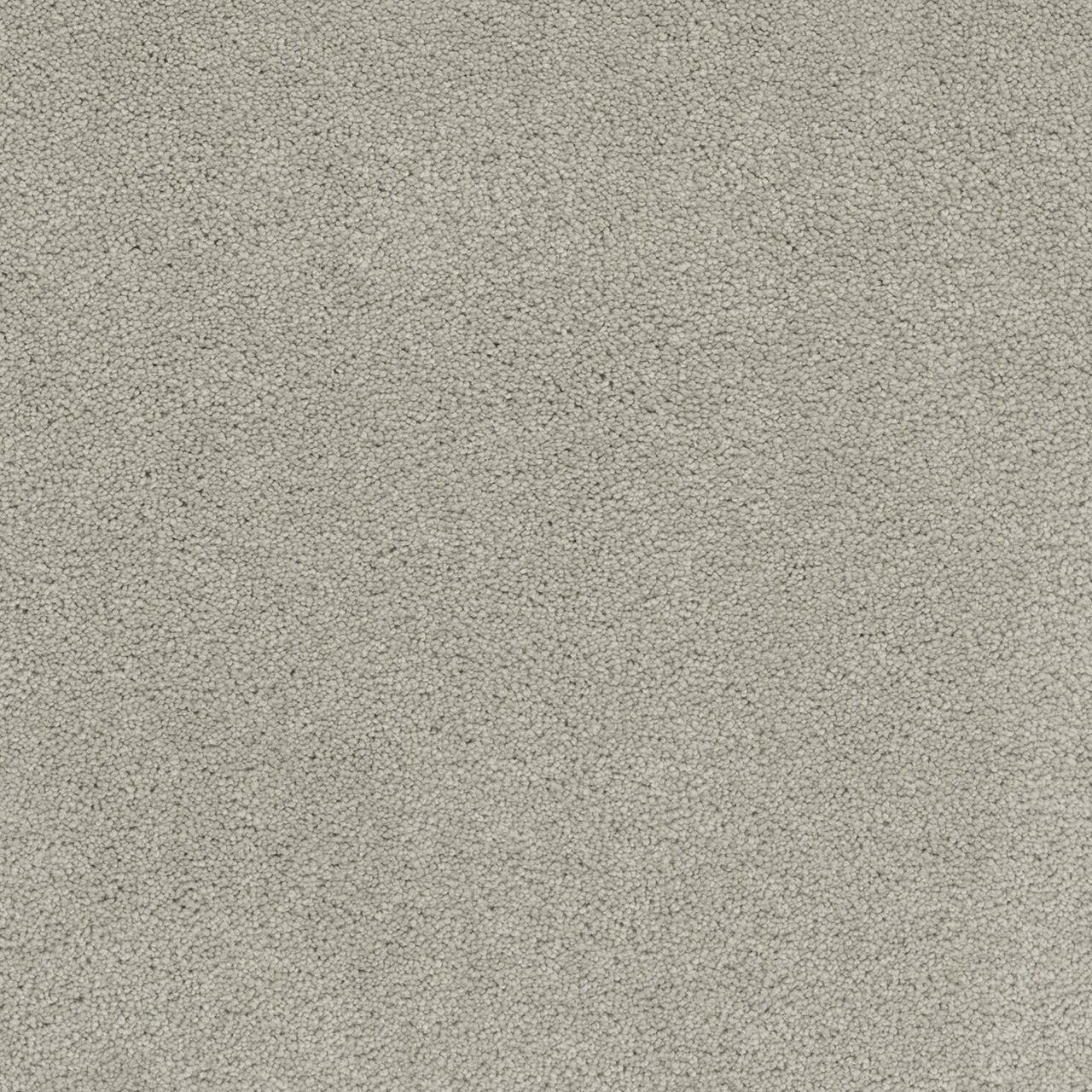 Dream Weaver Rock Solid I