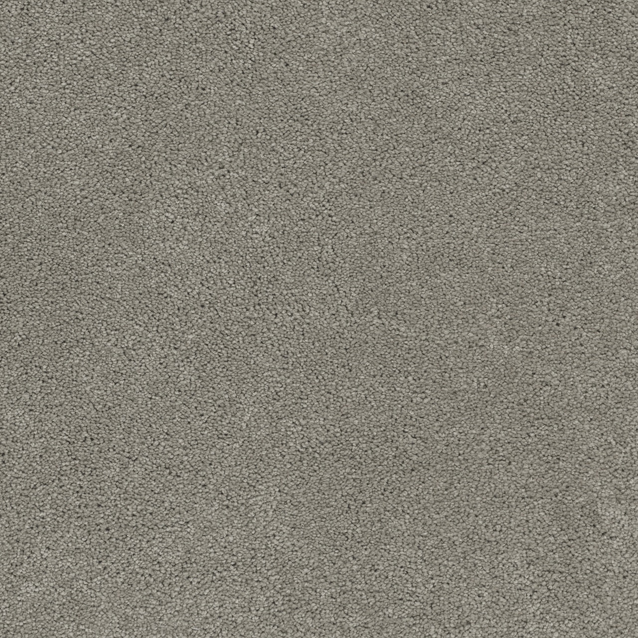 Dream Weaver Rock Solid I