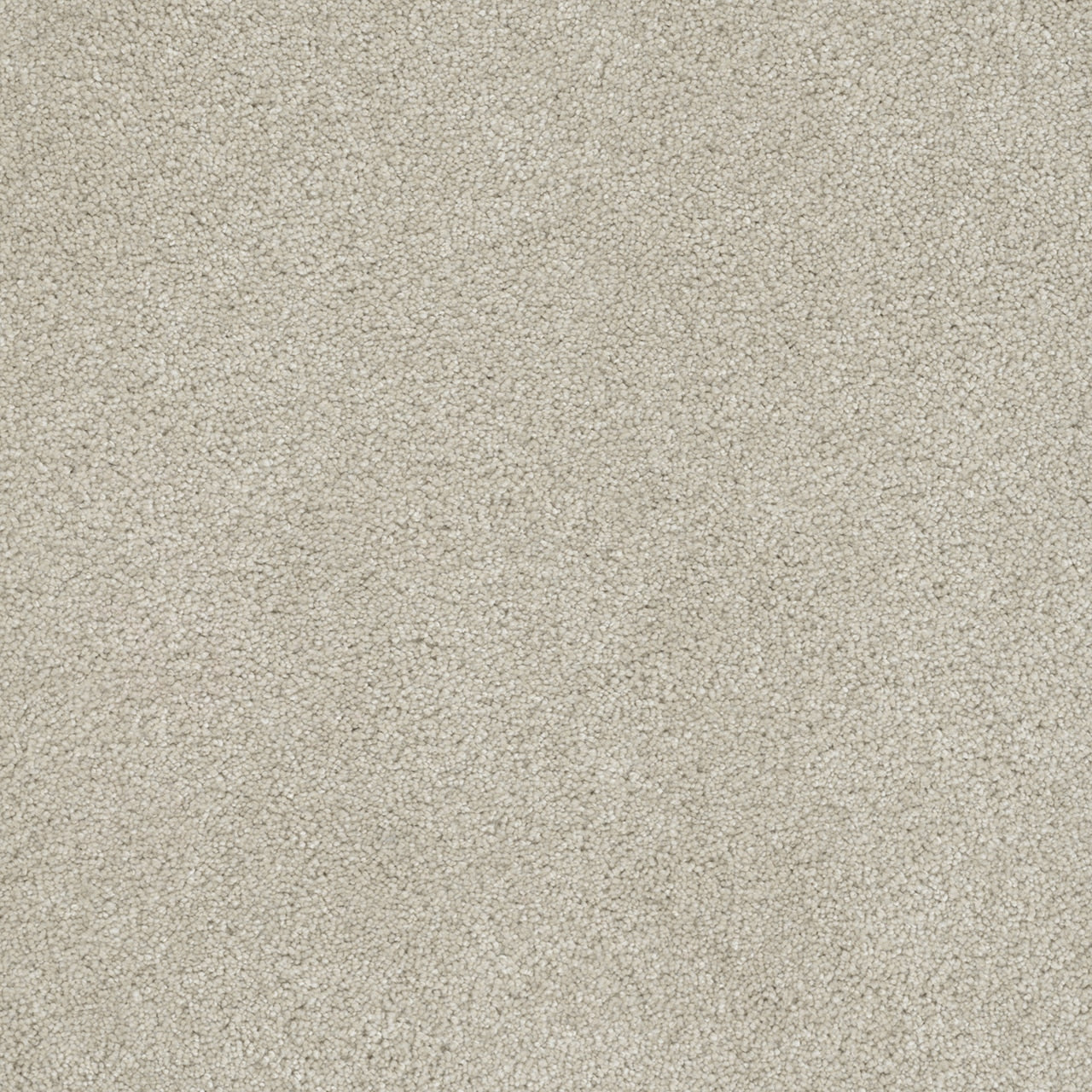 Dream Weaver Rock Solid I