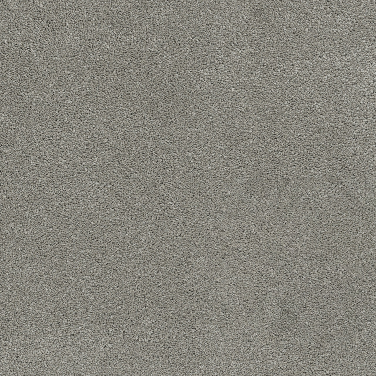 Dream Weaver Rock Solid I
