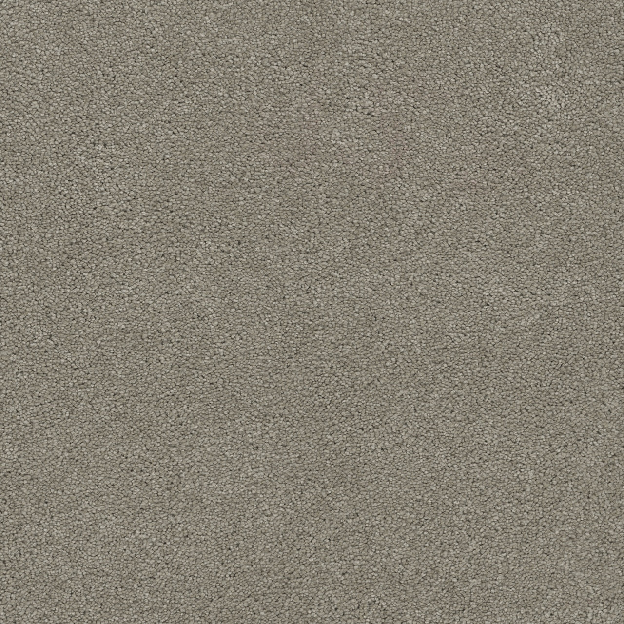 Dream Weaver Rock Solid I