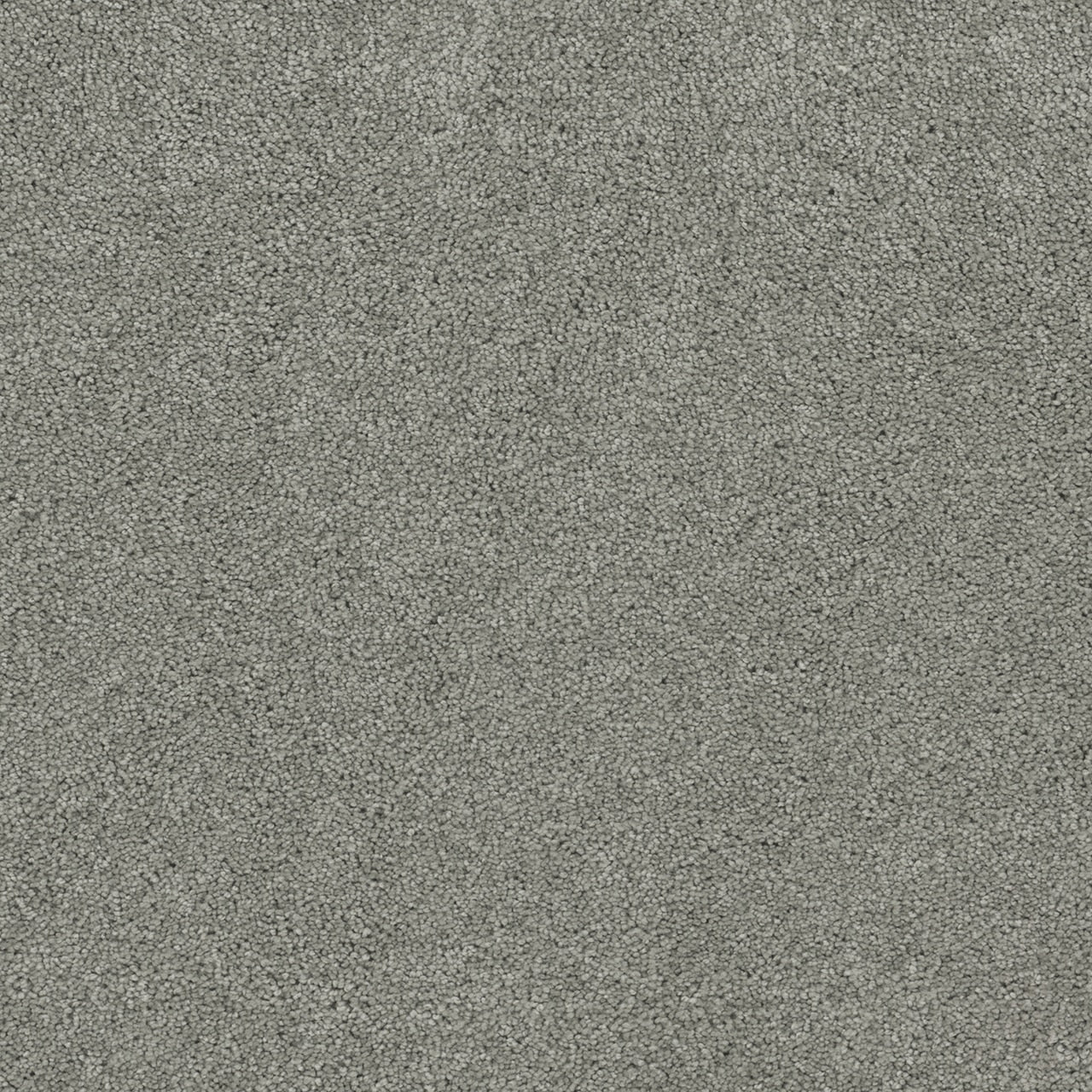 Dream Weaver Rock Solid I