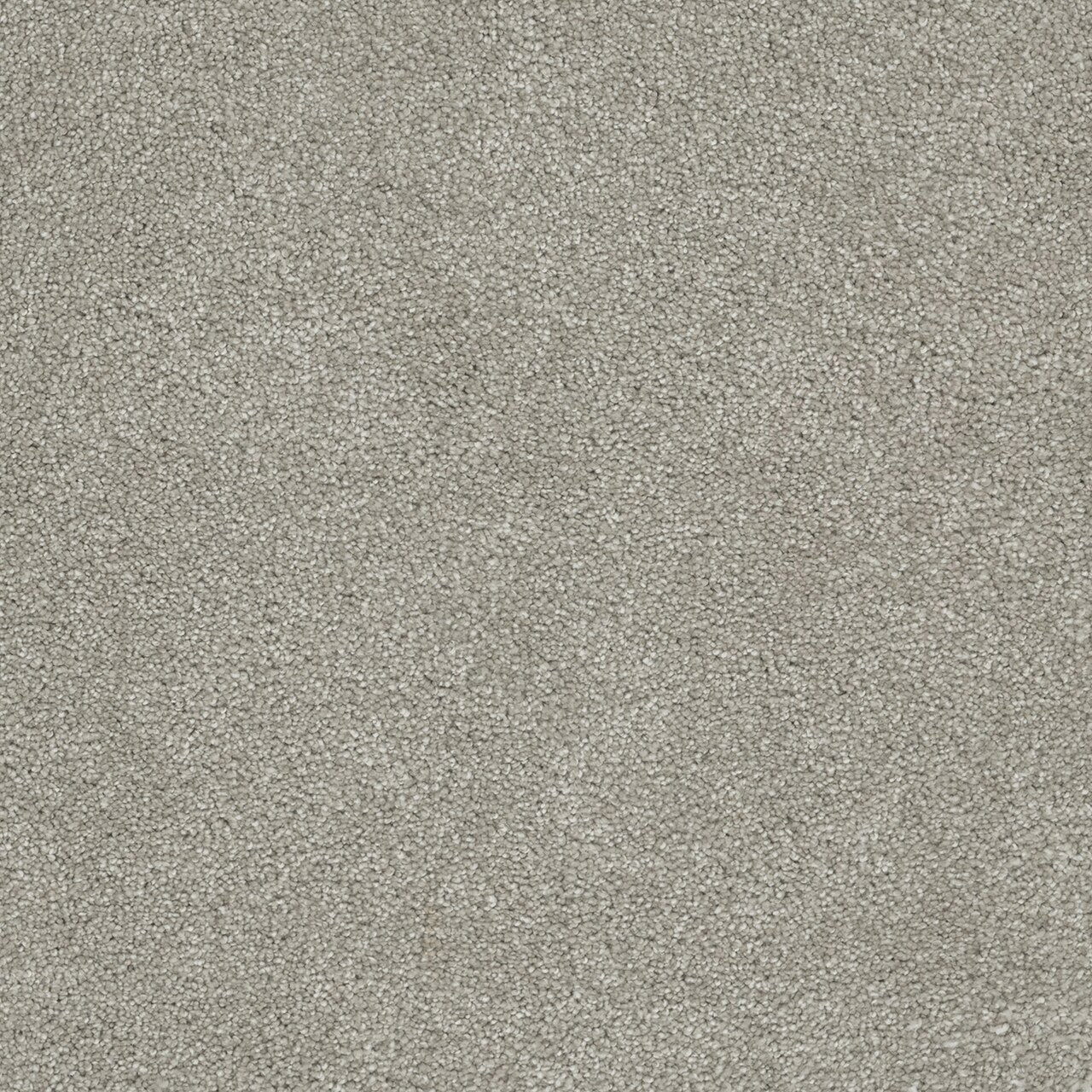 Dream Weaver Rock Solid I