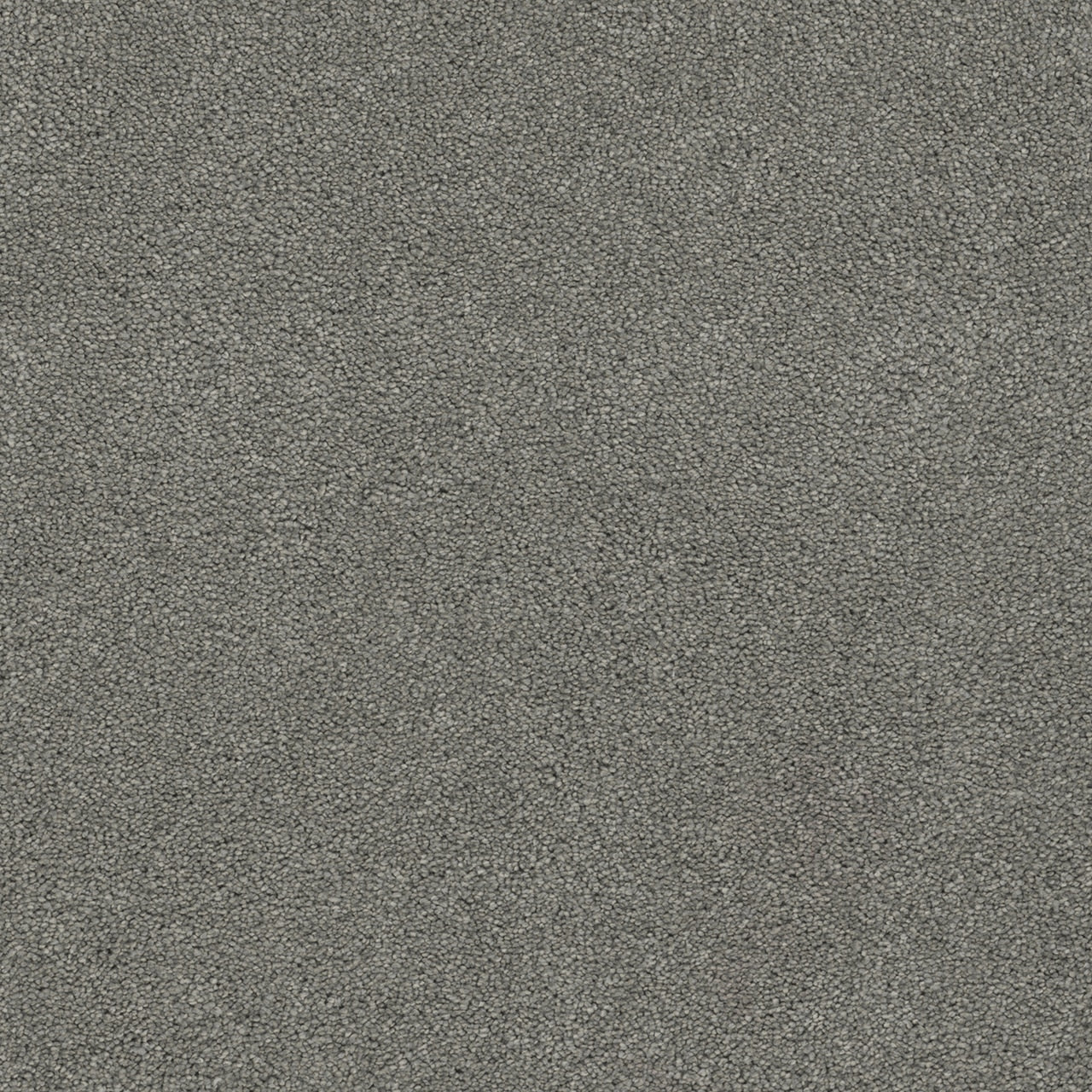 Dream Weaver Rock Solid I