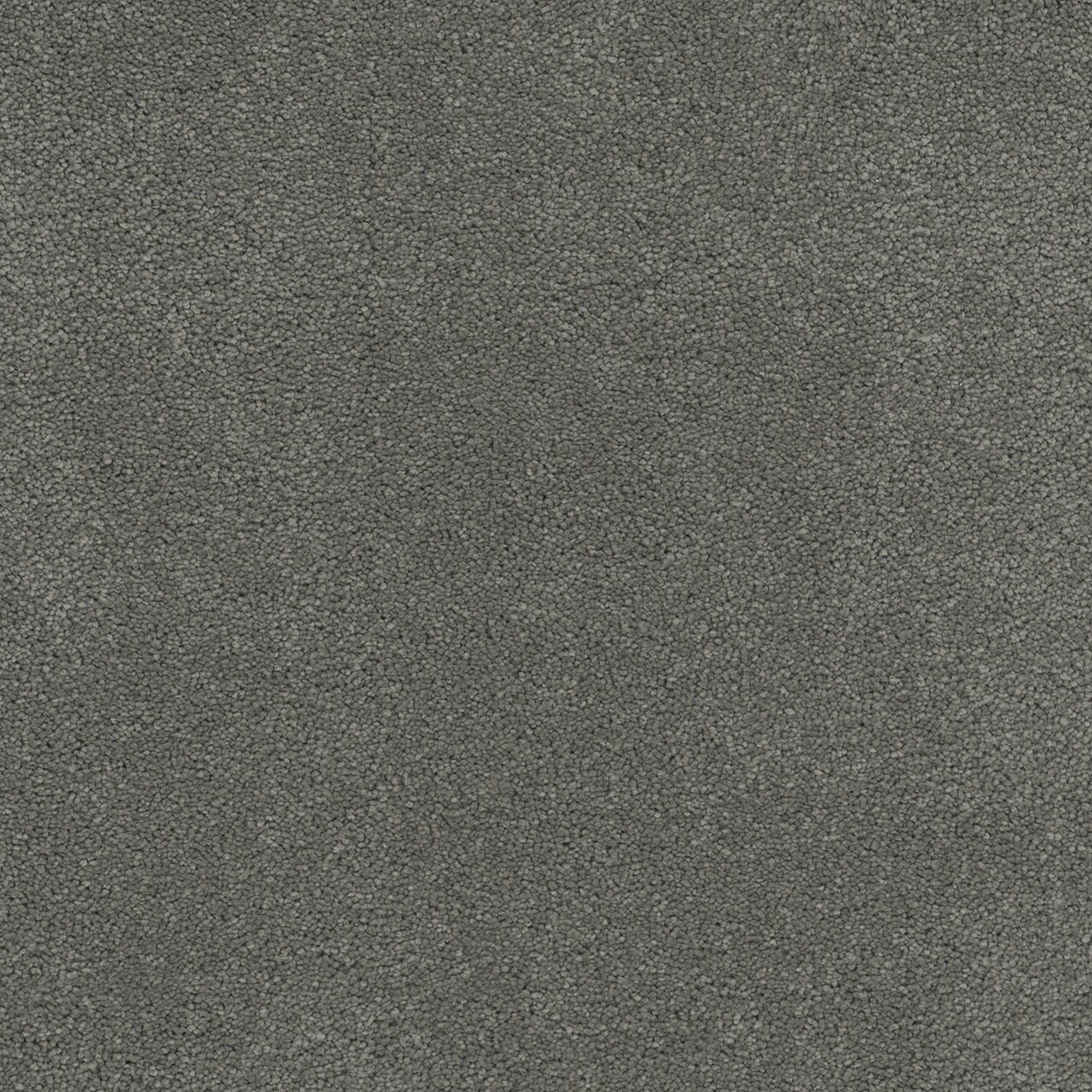 Dream Weaver Rock Solid I