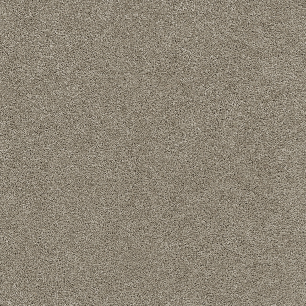 Dream Weaver Rock Solid I