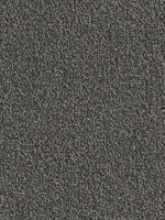 Load image into Gallery viewer, Pentz Commercial CHIVALRY 20
