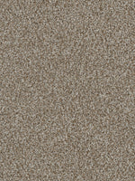 Load image into Gallery viewer, Dream Weaver JACKSON HOLE II
