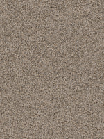 Load image into Gallery viewer, Dream Weaver DOUBLE JUMP II
