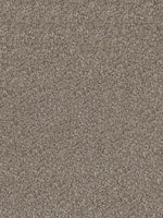 Load image into Gallery viewer, Dream Weaver DOUBLE JUMP II
