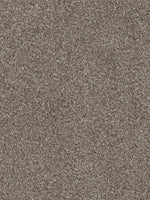 Load image into Gallery viewer, Dream Weaver DOUBLE JUMP II
