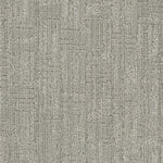Load image into Gallery viewer, DW Select CENTURY
