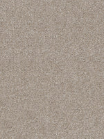 Load image into Gallery viewer, Dwellings CITARA II
