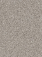 Load image into Gallery viewer, Dwellings CITARA II
