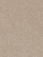 Load image into Gallery viewer, Dwellings CITARA II
