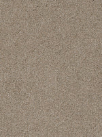 Load image into Gallery viewer, Dwellings CITARA II
