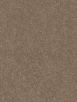 Load image into Gallery viewer, Dwellings CITARA II
