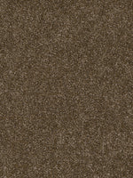 Load image into Gallery viewer, Dwellings CITARA II
