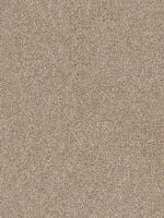Load image into Gallery viewer, Dwellings CITARA II
