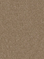 Load image into Gallery viewer, Dwellings CITARA II
