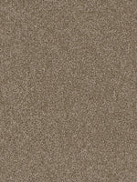 Load image into Gallery viewer, Dwellings CITARA II
