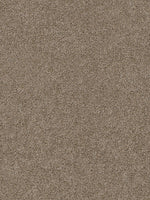 Load image into Gallery viewer, Dwellings CITARA II
