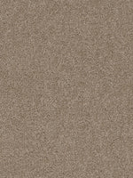 Load image into Gallery viewer, Dwellings CITARA II
