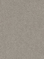 Load image into Gallery viewer, Dwellings CITARA II

